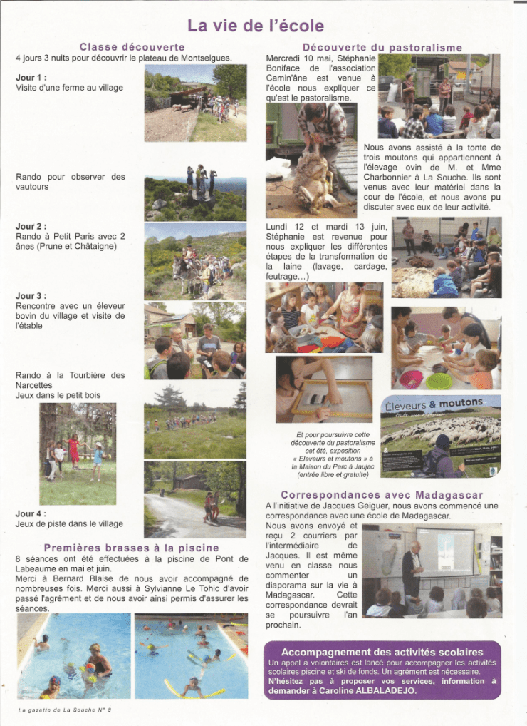 journal de la souche